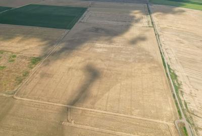 Teren agricol extravilan de 664865 mp, în Murighiol - 2