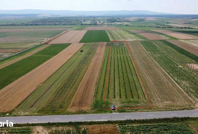 Teren de 7575 mp, în Viile Satu Mare - 3