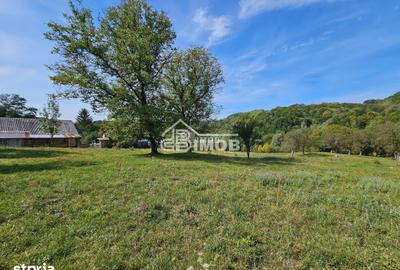 Teren de 10215 mp, în Vulcana-Băi - 2