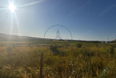 Teren de 51000 mp, în Central