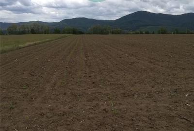 Teren de 18000 mp, în Ciritei - 2