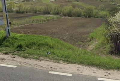 Teren de 4500 mp, în Gâdinți - 3