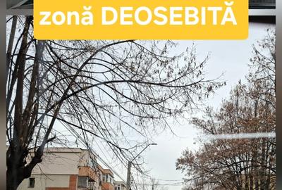 Apartament cu 2 camere decomandat, mobilat în Eremia - 1