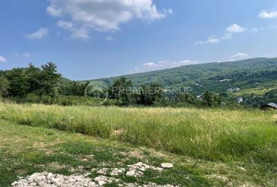 Teren agricol extravilan de 633 mp, în Tomești - 2