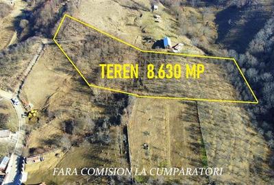Teren Construcții intravilan de 8630 mp, în Est - 5