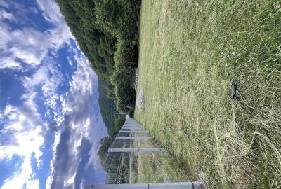 Teren de 900 mp, în Moara de Pădure