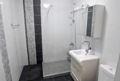 Apartament cu 2 camere decomandat în Bună Ziua - 10