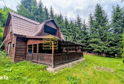 Casă cu 4 camere cu Teren 850 Mp în Lunca - 4