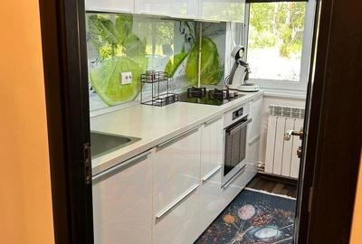 Apartament cu 2 camere în Sârbi - 2