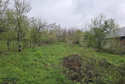 Teren de 3000 mp, în Predeal - 4
