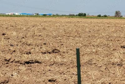 Teren de 4900 mp, în Bâcu - 2