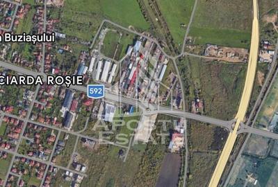 Teren Construcții intravilan de 3548 mp, în Buziașului