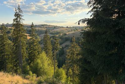 Teren de 1400 mp, în Măguri