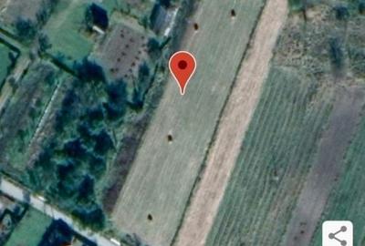 Teren de 4200 mp, în Băișoara - 1