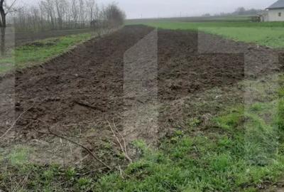 Teren de 3600 mp, în Central