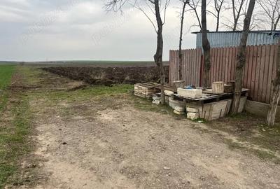 Teren de 2000 mp, în Vasile Alecsandri - 3