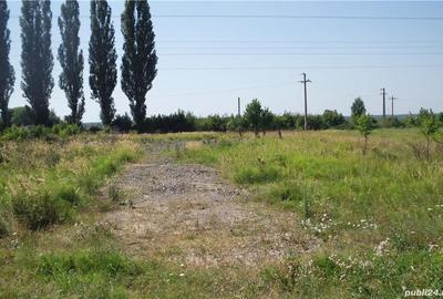 Teren de 2400 mp, în Aninoasa - 1