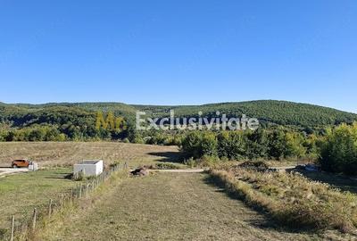 Teren de 2090 mp, în Golești (Ștefănești)