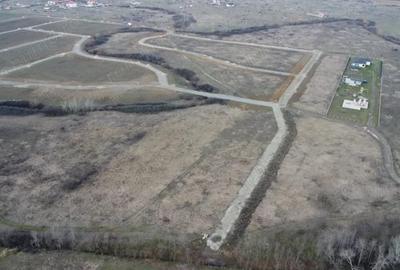 Teren de 5000 mp, în Albina - 6