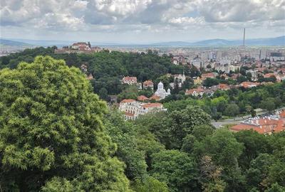 Apartament cu 3 camere decomandat, mobilat în Drumul Poienii - 13