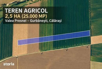 Teren de 25000 mp, în Central