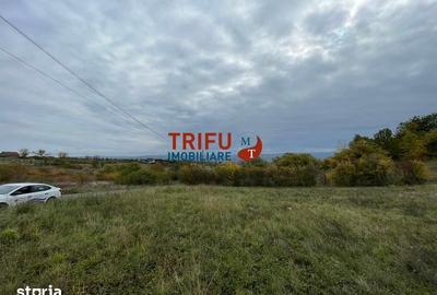 Teren de 4166 mp, în Cetate