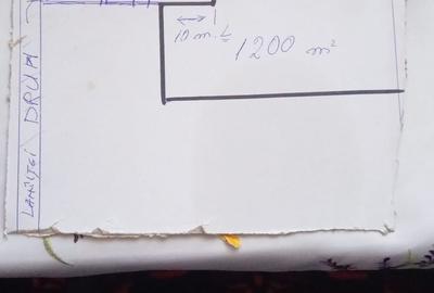 Teren de 1200 mp, în Zorleni