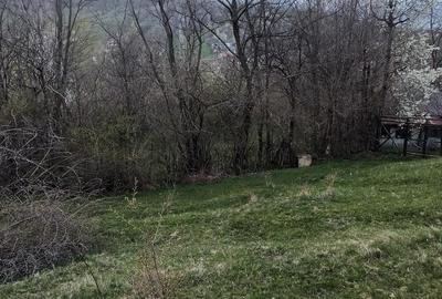 Teren de 2600 mp, în Izvoarele - 1