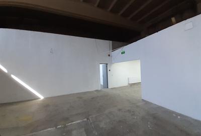 Spațiu industrial, de 550 mp, în Theodor Pallady - 17