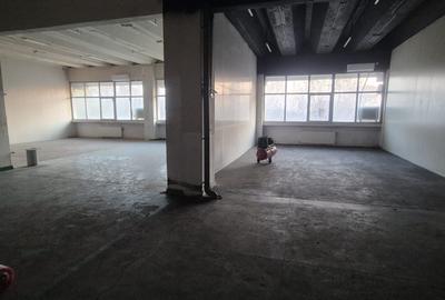 Spațiu industrial, de 360 mp, în Theodor Pallady - 10