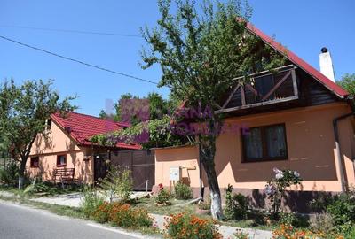Casă individuală cu 2 camere cu Canalizare în Nucet - 15