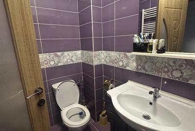 Apartament cu 2 camere decomandat, mobilat în Metalurgiei - 11