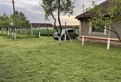 Spațiu comercial, în Crestur - 1