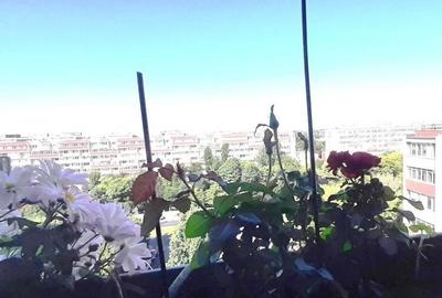 Apartament cu 3 camere circular, mobilat în Giurgiului - 15