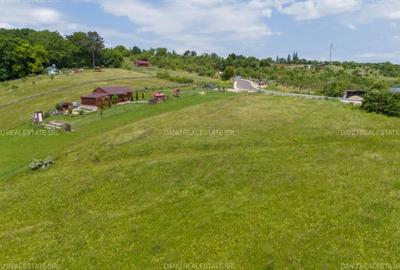 Teren extravilan de 4200 mp, în Vulcan - 10