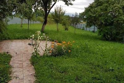 Casă cu 3 camere cu Teren 1746 Mp în Voila - 2