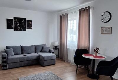 Garsonieră decomandată în Timișoara - 18