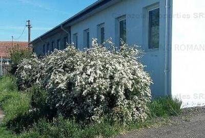 Spațiu comercial, de 750 mp, în Manoleasa