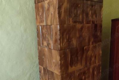 Casă cu 4 camere cu Teren 3000 Mp în Alioș - 12