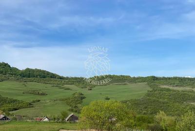 Teren agricol extravilan de 2160 mp, în Jelna - 3