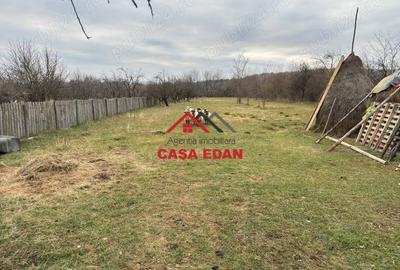 Casă cu Teren 2080 Mp în Brebu - 2