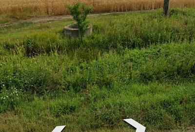 Teren de 60000 mp, în Petrești - 2