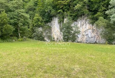 Teren Construcții intravilan de 4500 mp, în Dâmbovicioara - 17