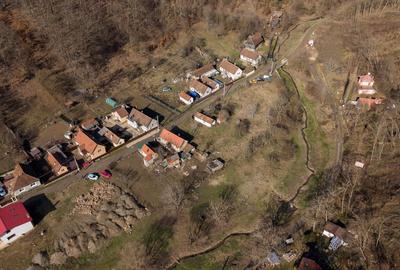 Teren Construcții intravilan de 302 mp, în Șoimoș - 11