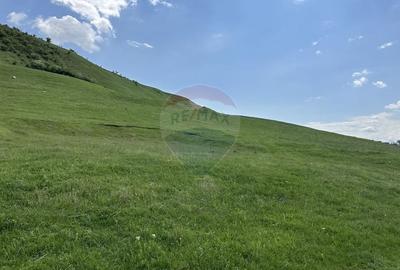 Teren Construcții intravilan de 1000 mp, în Gârcina - 1