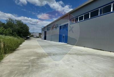 Spațiu industrial, de 9,618 mp, în Central - 4