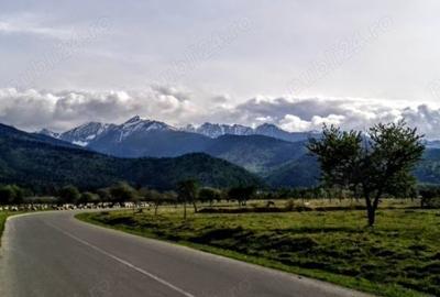 Teren de 1000 mp, în Sâmbăta de Sus - 1