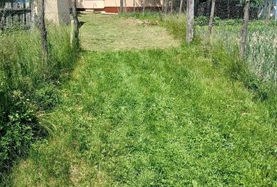 Casă cu Teren 1663 Mp în Poiana - 3