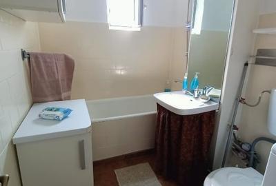 Apartament cu 3 camere decomandat, mobilat în Brazda lui Novac - 1