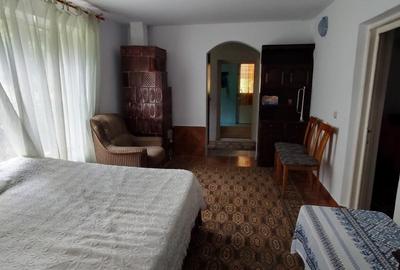 Casă individuală cu 5 camere cu Teren 3767 Mp în Bălănești - 7